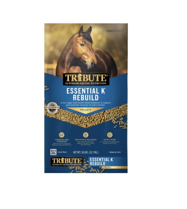 Essential K Rebuild (Tribute)