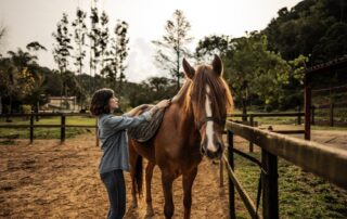 guide-to-riding-green-horses