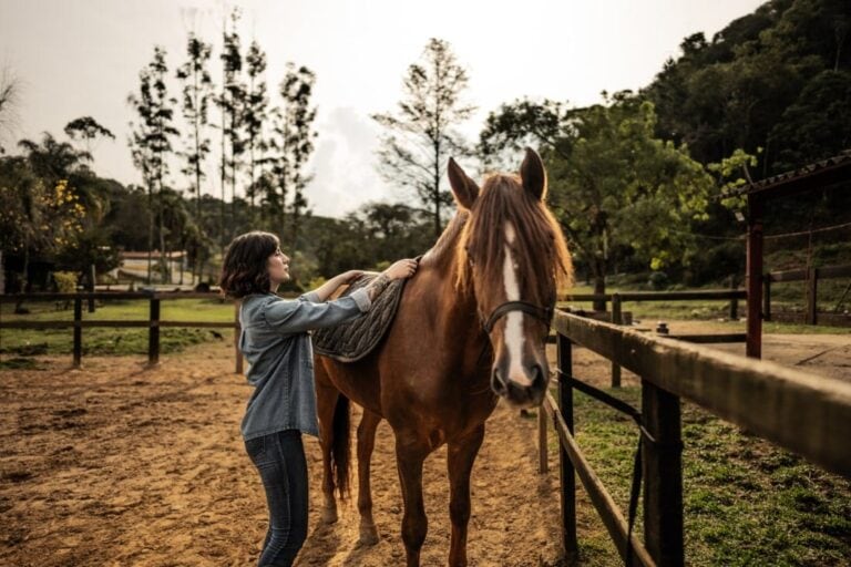 guide-to-riding-green-horses