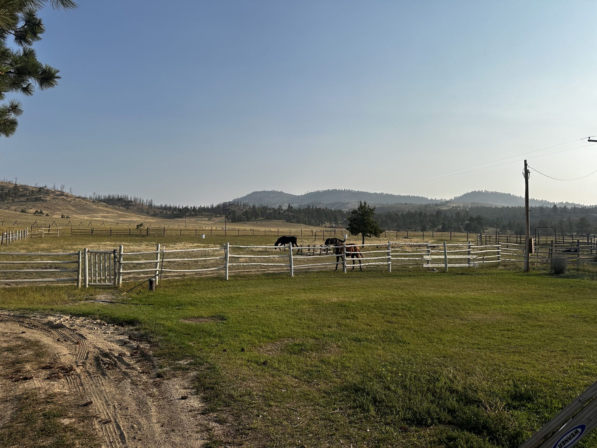 Denis Gromov - Boarding Stable