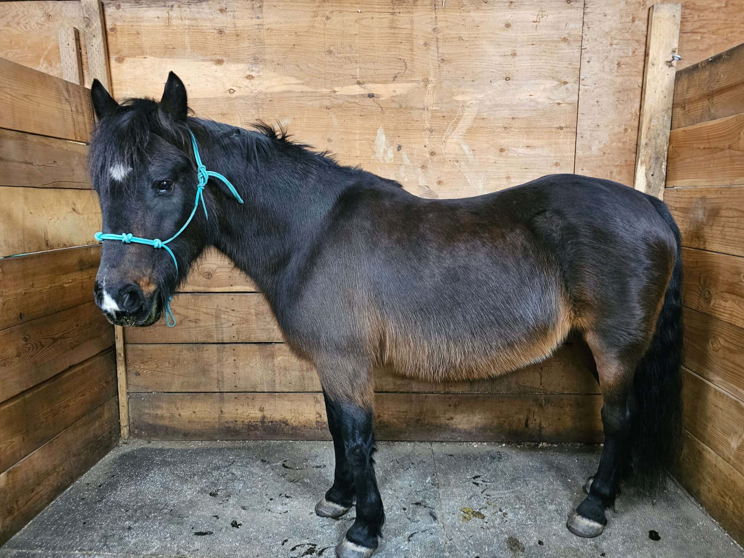 kelta after, feb 2025