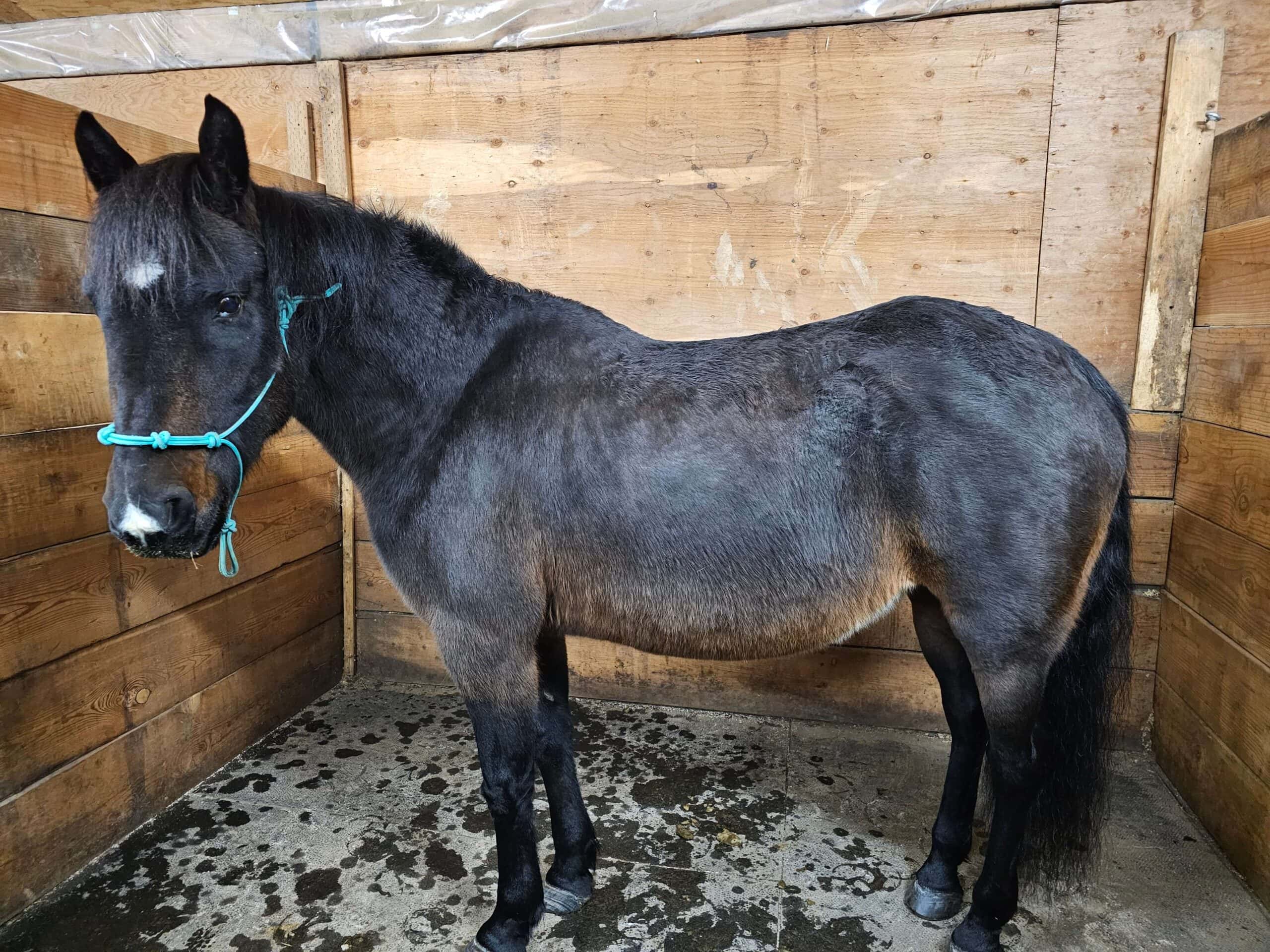 kelta before, Dec 2024