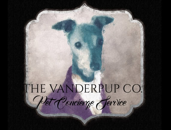 Chanel Brin - Equine & Ranch Sitter