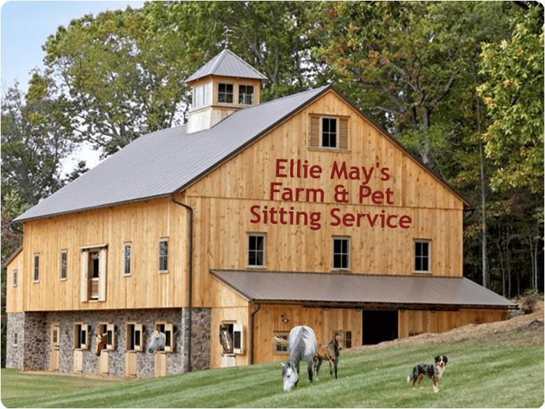 Ellie May’s Farm & Pet Sitting Service - Equine & Ranch Sitter