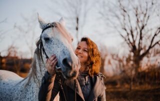 open-vs-closed-studbooks-in-horse-breed-registries