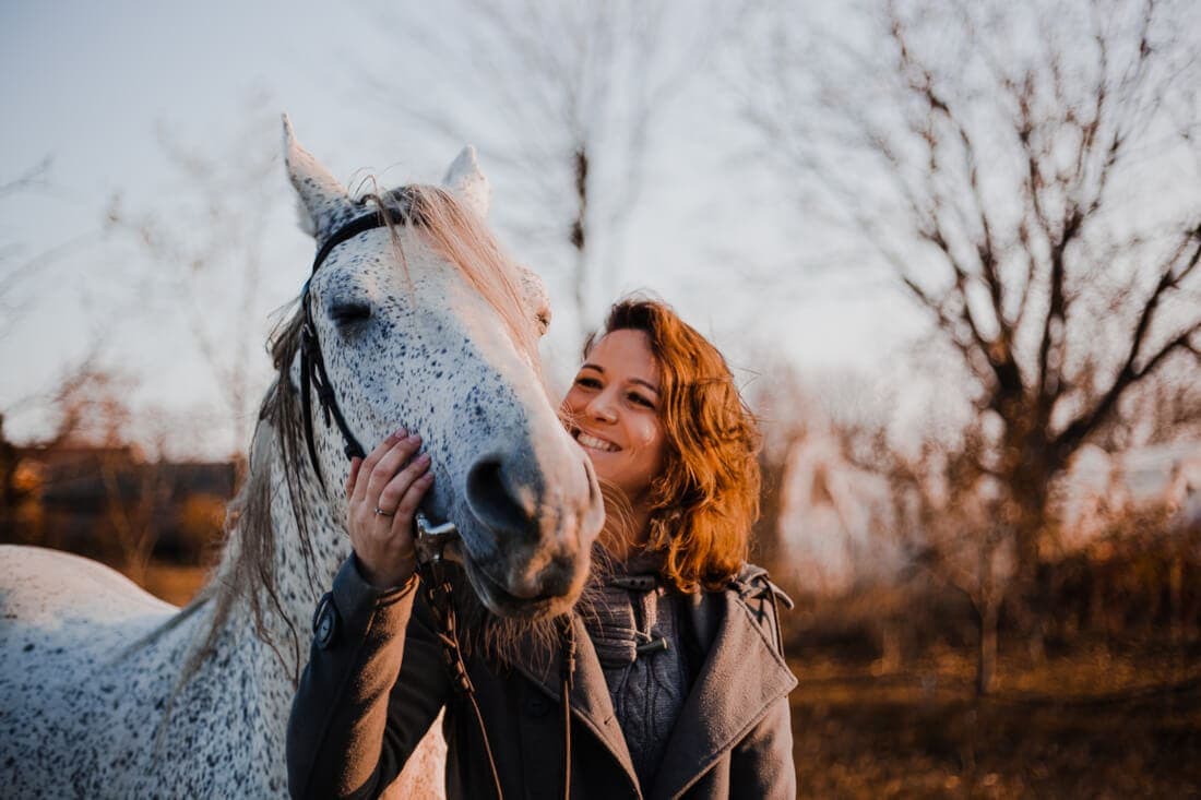 Open vs. Closed Studbooks in Horse Breed Registries: Understanding & Navigating Rules for Breeders