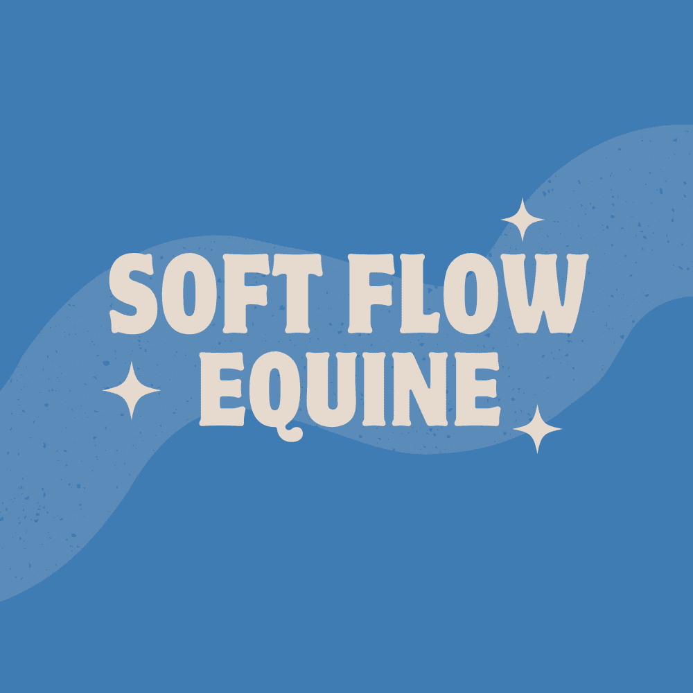 Maike Armstrong - Equine Bodywork