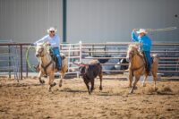 Team Roping on Horseback: History, Competition & Rules – [Discipline Guide]