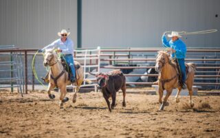 team-roping-discipline-guide