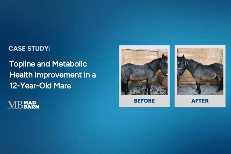 topline and metabolic health improvement in a mare