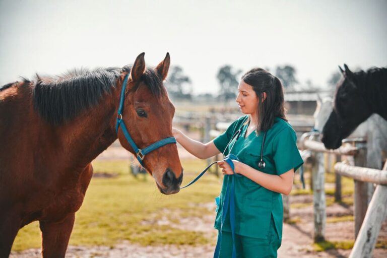 viral-infection-diagnosis-in-horses