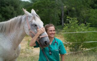 cerebrospinal-fluid-analysis-for-horses