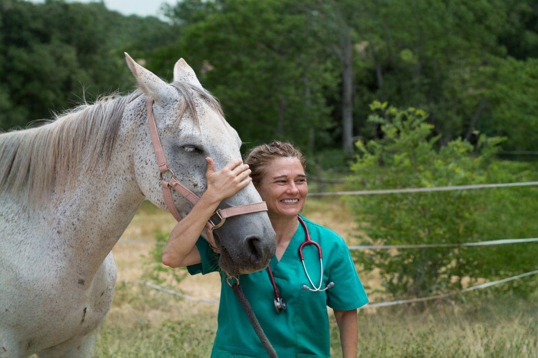 “Spinal Tap” Testing for Horses: A Veterinarian’s Guide to Cerebrospinal Fluid Analysis