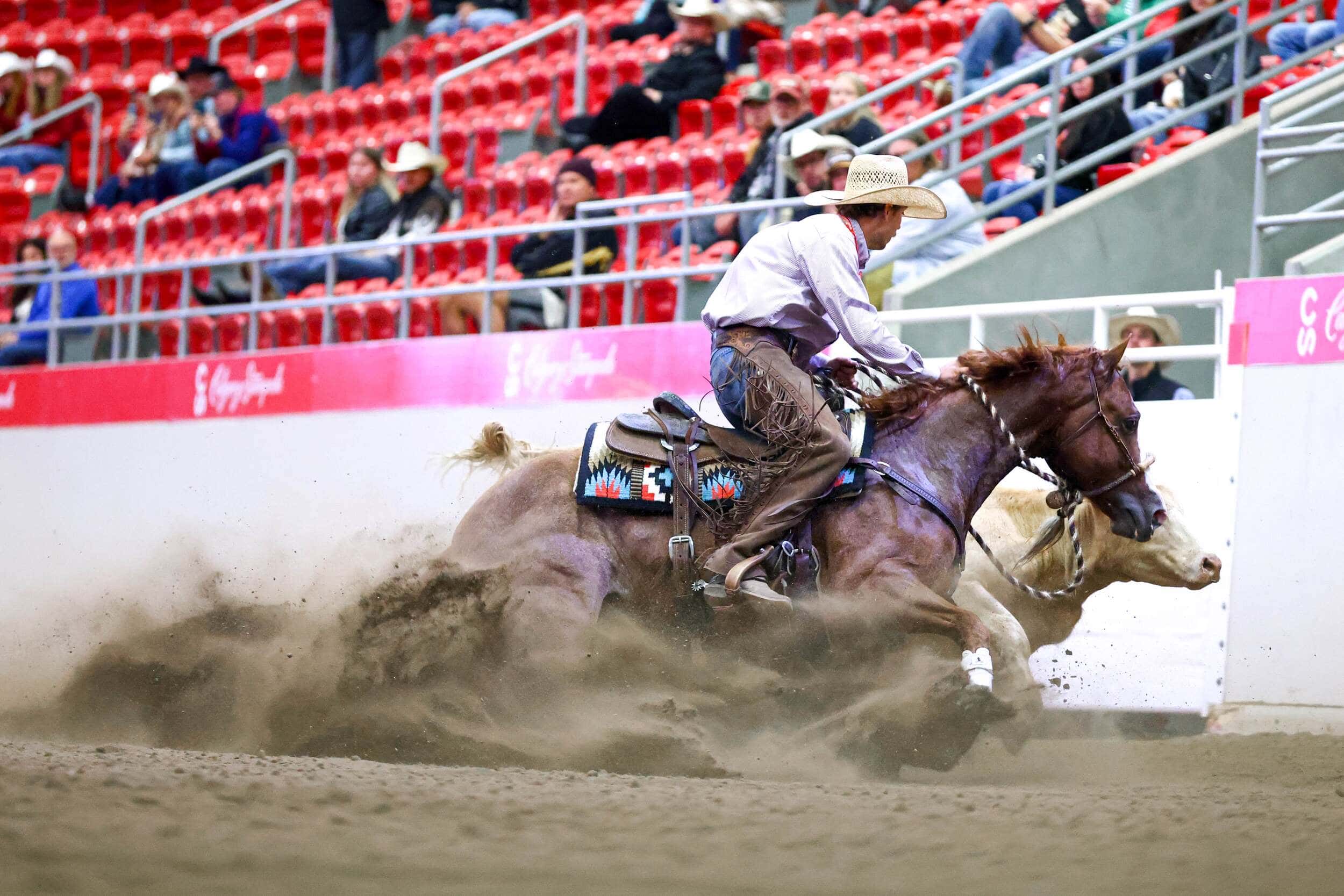 Laureen Little - Boarding Stable