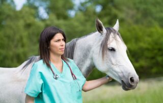 diagnosing-bacterial-infection-in-horses