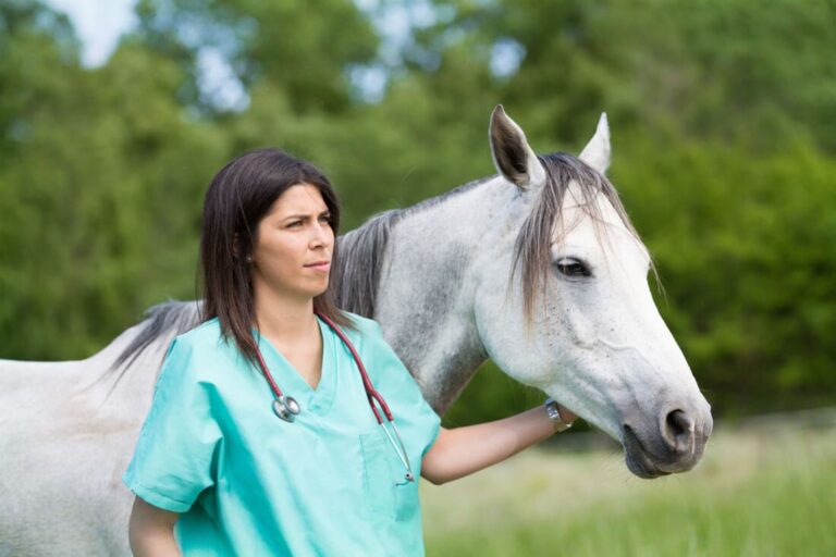diagnosing-bacterial-infection-in-horses