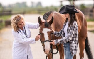 diagnosing-parasitic-infestation-in-horses