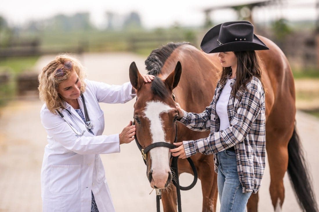Diagnosing Internal Parasites in Horses: A Veterinarian’s Guide to Fecal Testing