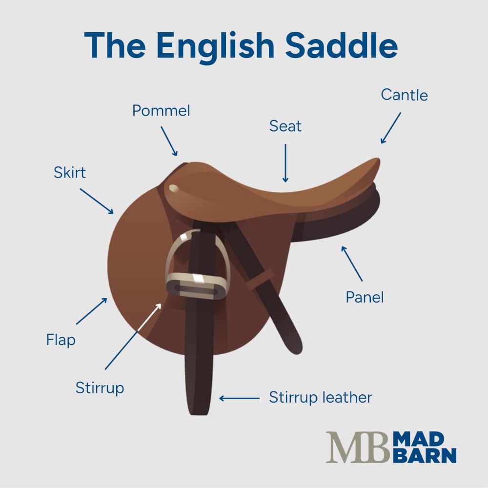 diagram of english style riding saddle