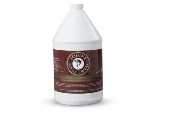 Equine Mega Sweat (O|3 Animal Health)