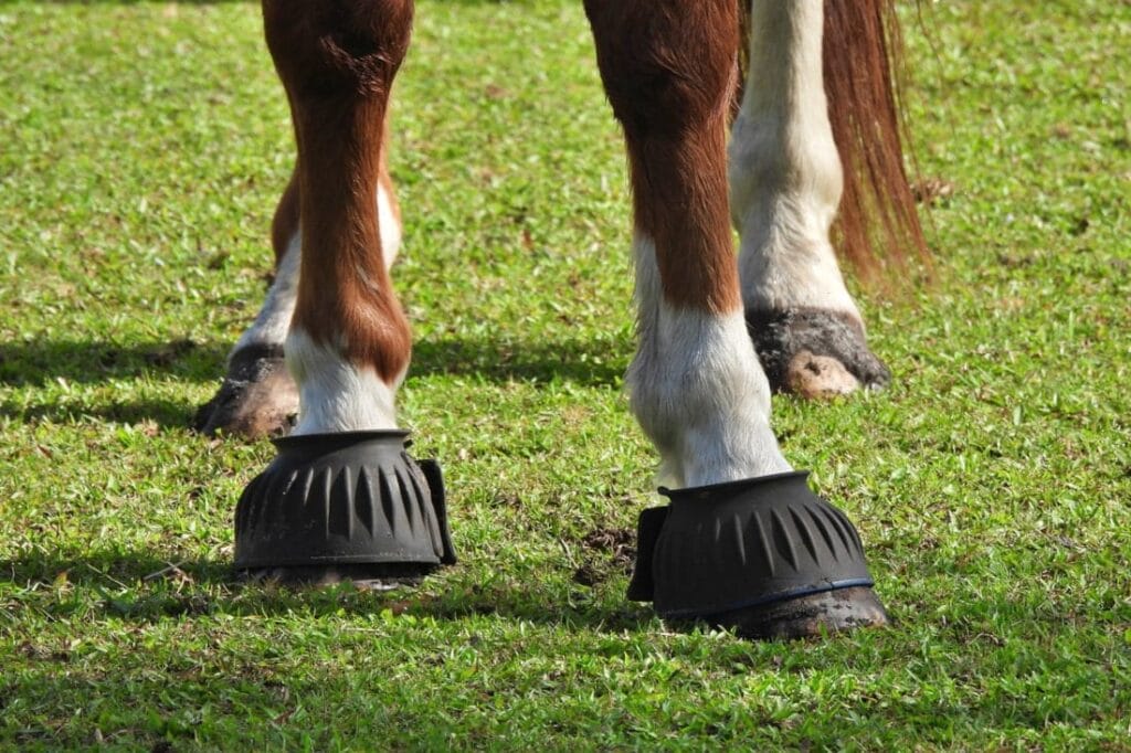Bell Boots for Horses: Complete Guide to Types, Uses & Fitting