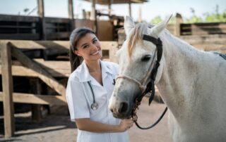 guide-to-diagnosing-fungal-infection-in-horses