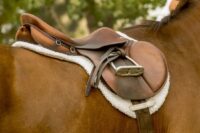 Guide to English Saddles for Horses: Types, History & Construction