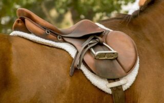 guide-to-english-saddles