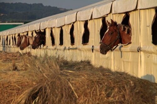 guide-to-portable-horse-stalls