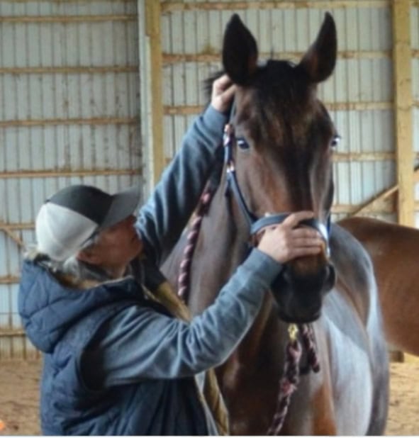 Jennifer Nikitin - Equine Bodywork