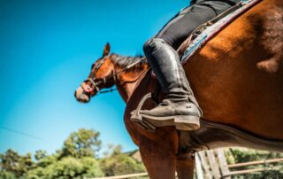ultimate-guide-to-stirrups