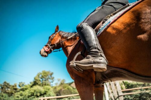 ultimate-guide-to-stirrups