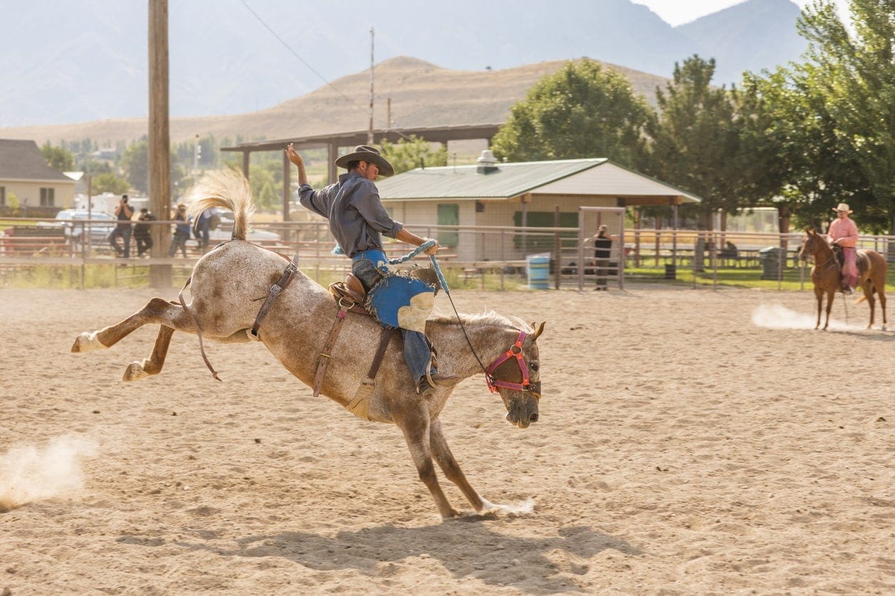 Guide to Western Riding Disciplines: Types of Horseback Riding ...