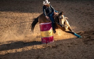 western-disciplines-guide