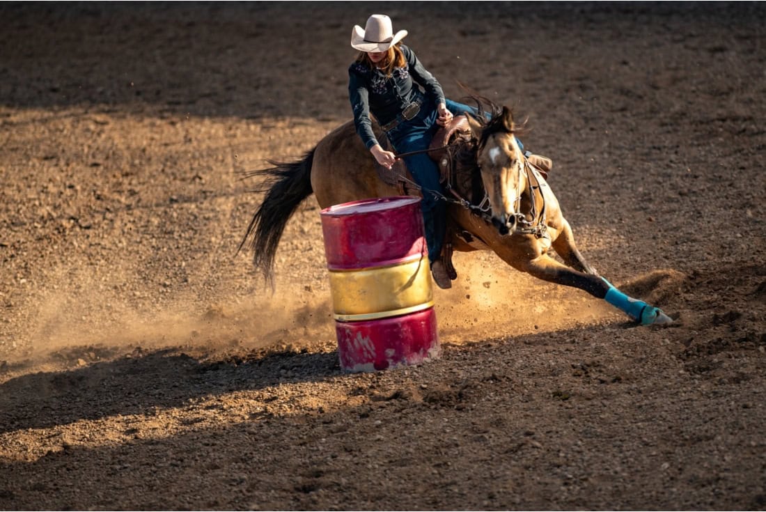 Guide to Western Riding Disciplines: Types of Horseback Riding Competitions