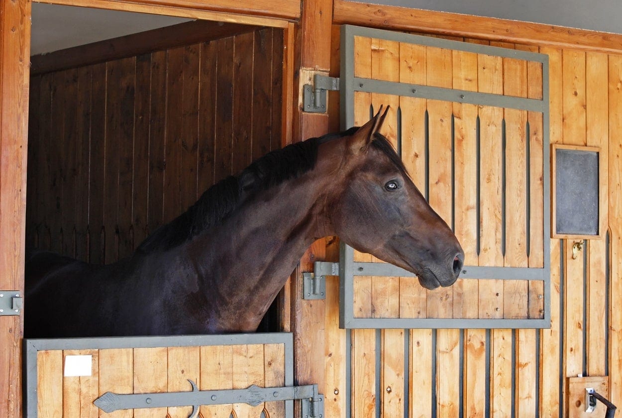 half door horse stall gate