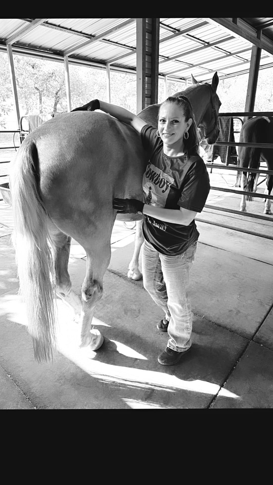 Amber Areingdale - Equine Massage Therapist