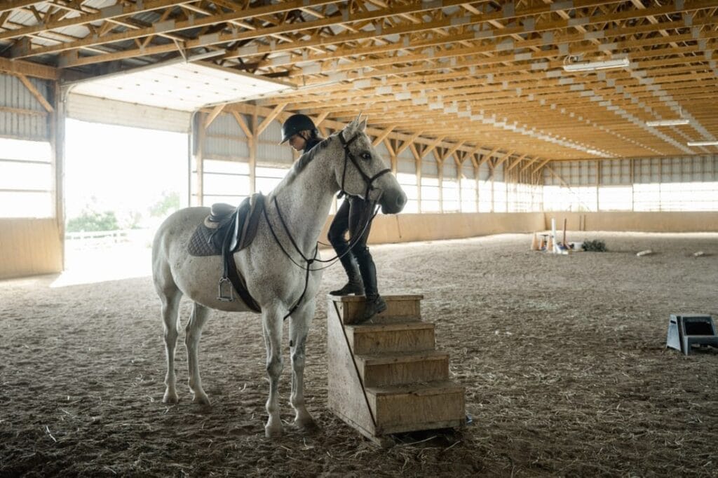 Managing Cold-Backed Horses: Causes, Symptoms & Training Tips