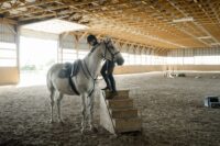 Managing Cold-Backed Horses: Causes, Symptoms & Training Tips