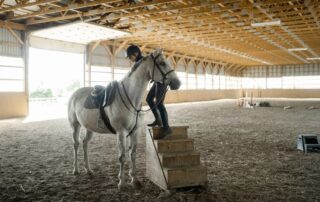 managing-cold-backed-horses