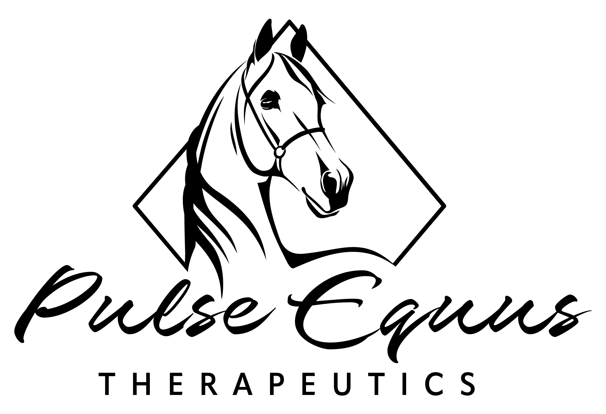Shelby Fenstermacher - Equine Massage Therapist
