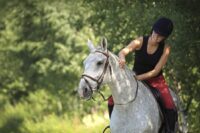 7 Ways Riders Impact Their Horse’s Comfort, Behavior, and Performance Under Saddle