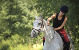 rider-impact-on-horse-under-saddle