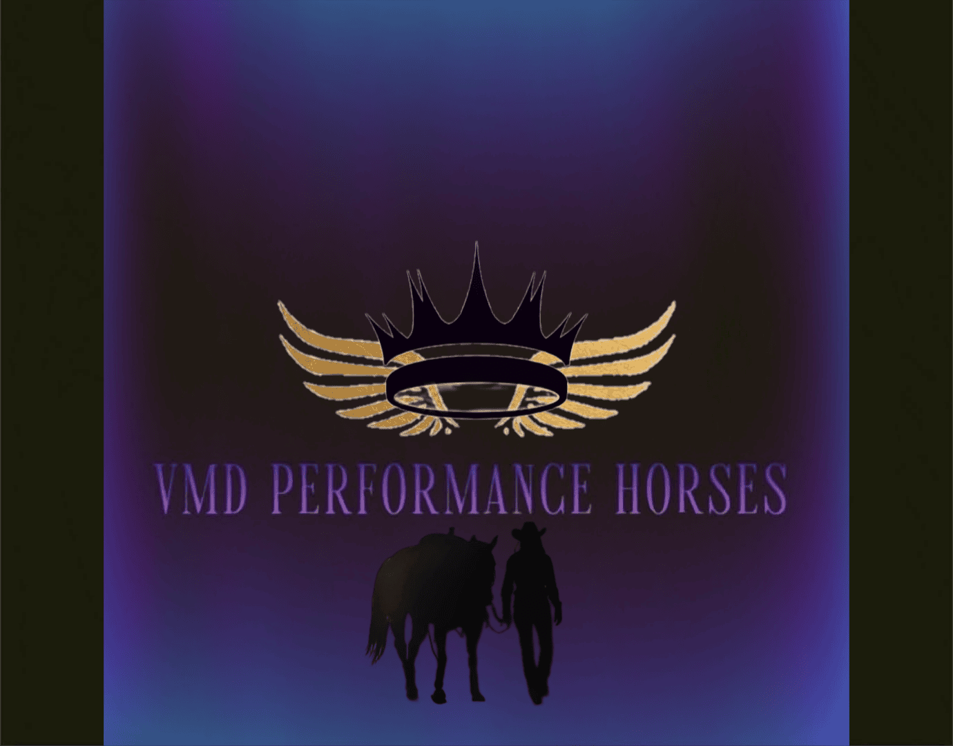 VMD Performance Horses - Equine Behaviourist