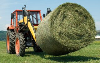 bahaigrass-hay-profile