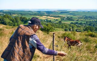 basic-fence-repairs-for-horse-farms