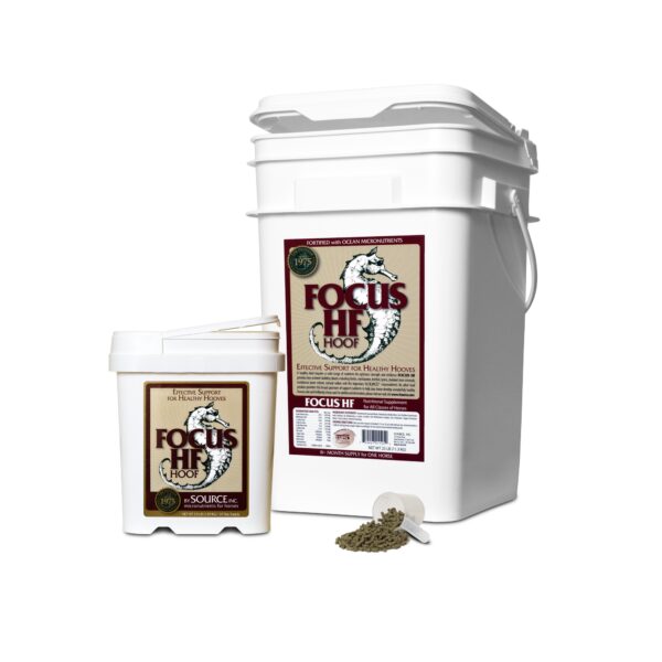 Focus HF (Source Inc)