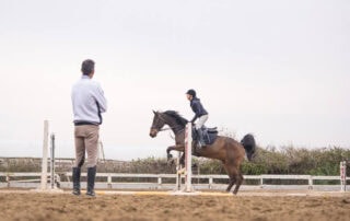 how-to-choose-a-horse-trainer