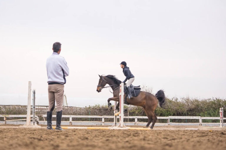 how-to-choose-a-horse-trainer