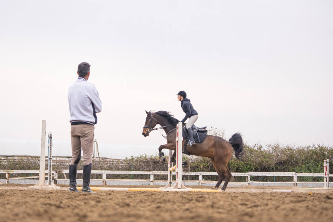 How to Choose the Right Horse Trainer: Goals, Methods & Considerations